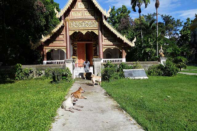 Chiang Mai